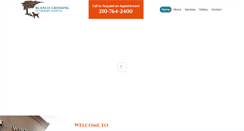 Desktop Screenshot of blancocrossingvet.com